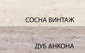 Шкаф 2D1SL, MONAKO, цвет Сосна винтаж/дуб анкона в Южноуральске - yuzhnouralsk.ok-mebel.com | фото