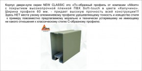 Шкаф-купе 1500 серии NEW CLASSIC K2+K2+B2+PL2(2 ящика+1 штанга+1 полка) профиль «Капучино» в Южноуральске - yuzhnouralsk.ok-mebel.com | фото 17