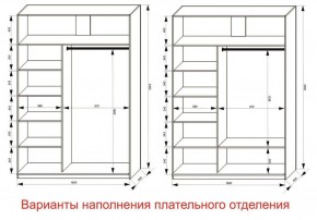 Шкаф-купе 1600 серии SOFT D1+D3+B2+PL1 (2 ящика+1штанга) профиль «Графит» в Южноуральске - yuzhnouralsk.ok-mebel.com | фото 6