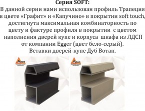 Шкаф-купе 1800 серии SOFT D1+D3+B2+PL1 (2 ящика+1штанга) профиль «Графит» в Южноуральске - yuzhnouralsk.ok-mebel.com | фото 11