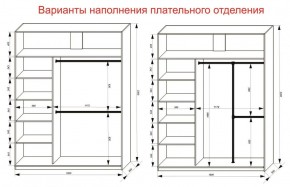 Шкаф-купе 1800 серии SOFT D1+D3+B2+PL1 (2 ящика+1штанга) профиль «Графит» в Южноуральске - yuzhnouralsk.ok-mebel.com | фото 7