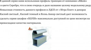 Шкаф-купе 2250 серии SILVER S5+S1+S5 B22+PL2 (по 2 ящика лев/прав+1 штанга+1 полка) профиль «Серебро» в Южноуральске - yuzhnouralsk.ok-mebel.com | фото 16