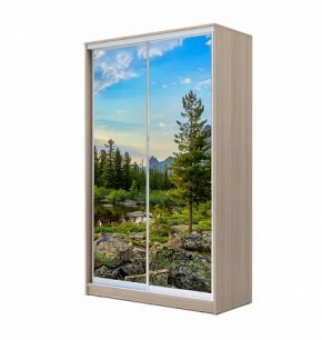 Шкаф-купе ХИТ 22-4-12/2-77 (420) в Южноуральске - yuzhnouralsk.ok-mebel.com | фото 12