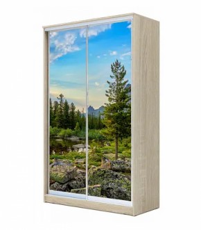 Шкаф-купе ХИТ 22-4-12/2-77 (420) в Южноуральске - yuzhnouralsk.ok-mebel.com | фото 13