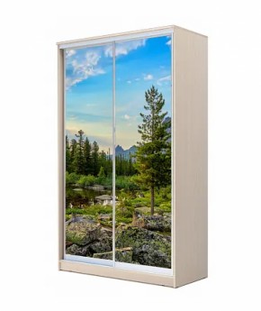 Шкаф-купе ХИТ 22-4-12/2-77 (420) в Южноуральске - yuzhnouralsk.ok-mebel.com | фото 14