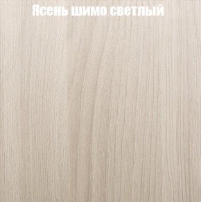 Шкаф-купе «ТАНДЕМ» 2-х дверный в алюминиевом профиле (Дверь К+К) 1400/h2200 в Южноуральске - yuzhnouralsk.ok-mebel.com | фото 6
