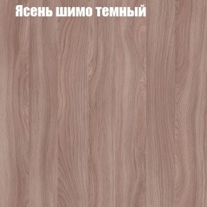Шкаф-купе «ТАНДЕМ» 2-х дверный в алюминиевом профиле (Дверь К+К) 1400/h2200 в Южноуральске - yuzhnouralsk.ok-mebel.com | фото 7