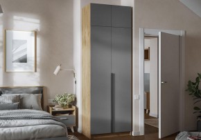 Шкаф платяной Широн в Южноуральске - yuzhnouralsk.ok-mebel.com | фото 4