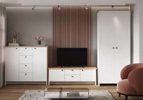 Шкаф платяной Теодора в Южноуральске - yuzhnouralsk.ok-mebel.com | фото 4