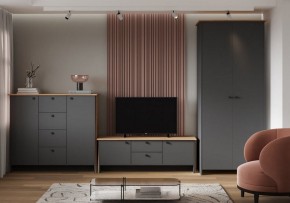 Шкаф платяной Теодора в Южноуральске - yuzhnouralsk.ok-mebel.com | фото 3