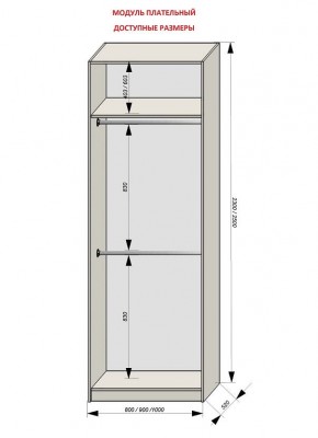 Шкаф распашной серия «ЗЕВС» (PL3/С1/PL2) в Южноуральске - yuzhnouralsk.ok-mebel.com | фото 12