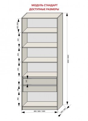 Шкаф распашной серия «ЗЕВС» (PL3/С1/PL2) в Южноуральске - yuzhnouralsk.ok-mebel.com | фото 13