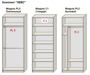 Шкаф распашной серия «ЗЕВС» (PL3/С1/PL2) в Южноуральске - yuzhnouralsk.ok-mebel.com | фото 2