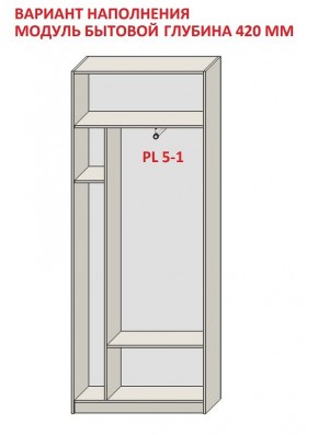 Шкаф распашной серия «ЗЕВС» (PL3/С1/PL2) в Южноуральске - yuzhnouralsk.ok-mebel.com | фото 4