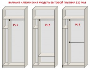 Шкаф распашной серия «ЗЕВС» (PL3/С1/PL2) Серый камень/Небраска натуральный в Южноуральске - yuzhnouralsk.ok-mebel.com | фото 5