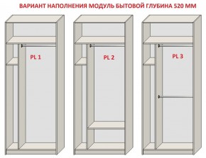 Шкаф распашной серия «ЗЕВС» (PL3/С1/PL2) в Южноуральске - yuzhnouralsk.ok-mebel.com | фото 5