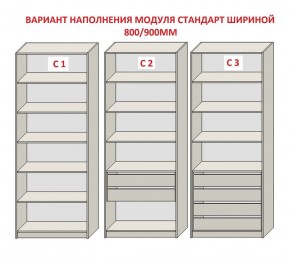 Шкаф распашной серия «ЗЕВС» (PL3/С1/PL2) в Южноуральске - yuzhnouralsk.ok-mebel.com | фото 6