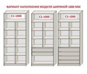 Шкаф распашной серия «ЗЕВС» (PL3/С1/PL2) Серый камень/Небраска натуральный в Южноуральске - yuzhnouralsk.ok-mebel.com | фото 7