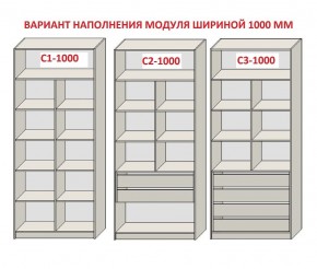 Шкаф распашной серия «ЗЕВС» (PL3/С1/PL2) в Южноуральске - yuzhnouralsk.ok-mebel.com | фото 7