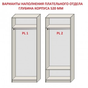 Шкаф распашной серия «ЗЕВС» (PL3/С1/PL2) в Южноуральске - yuzhnouralsk.ok-mebel.com | фото 9