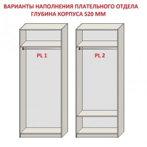 Шкаф распашной серия «ЗЕВС» (PL3/С1/PL2) Серый камень/Небраска натуральный в Южноуральске - yuzhnouralsk.ok-mebel.com | фото 9