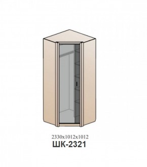 Шкаф ШЕР Дуб серый/айронвуд серебро (ШК-2321) в Южноуральске - yuzhnouralsk.ok-mebel.com | фото