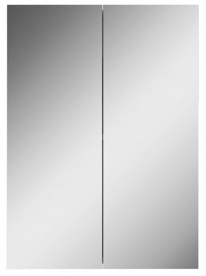 Шкаф-зеркало Норма 50 2 двери АЙСБЕРГ (DA1636HZ) в Южноуральске - yuzhnouralsk.ok-mebel.com | фото 4