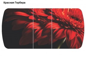 Стол Бостон-3 (1100/1420*700) опоры Брифинг в Южноуральске - yuzhnouralsk.ok-mebel.com | фото 5