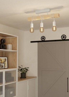 Светильник на штанге Eglo TOWNSHEND 44082 в Южноуральске - yuzhnouralsk.ok-mebel.com | фото 2