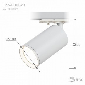 Светильник на штанге Эра  TR39-GU10 WH в Южноуральске - yuzhnouralsk.ok-mebel.com | фото 7