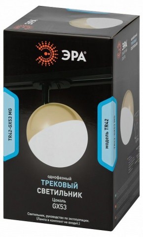 Светильник на штанге Эра  TR42-GX53 MG в Южноуральске - yuzhnouralsk.ok-mebel.com | фото 6