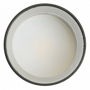 Светильник на штанге Feron ML1001 51371 в Южноуральске - yuzhnouralsk.ok-mebel.com | фото 4