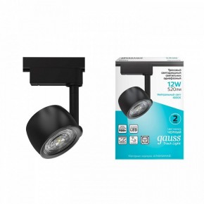Светильник на штанге Gauss Track Light TR053 в Южноуральске - yuzhnouralsk.ok-mebel.com | фото 3