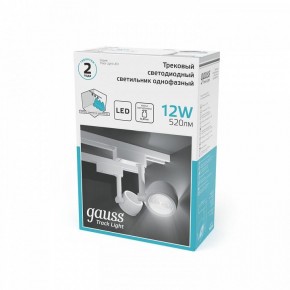 Светильник на штанге Gauss Track Light TR054 в Южноуральске - yuzhnouralsk.ok-mebel.com | фото 5
