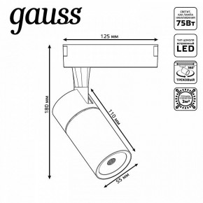 Светильник на штанге Gauss Track Light TR060 в Южноуральске - yuzhnouralsk.ok-mebel.com | фото 5