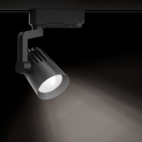 Светильник на штанге Gauss Track Light TR061 в Южноуральске - yuzhnouralsk.ok-mebel.com | фото 2