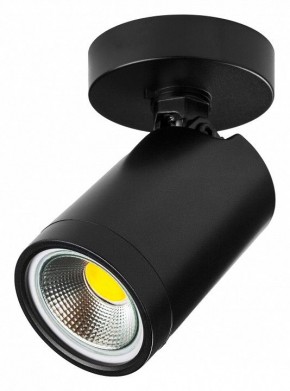 Светильник на штанге Lightstar Rullo 213407 в Южноуральске - yuzhnouralsk.ok-mebel.com | фото