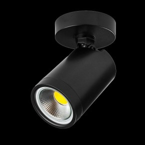 Светильник на штанге Lightstar Rullo 213407 в Южноуральске - yuzhnouralsk.ok-mebel.com | фото 2