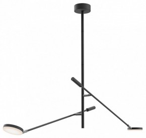 Светильник на штанге Maytoni Fad MOD070CL-L15B3K1 в Южноуральске - yuzhnouralsk.ok-mebel.com | фото