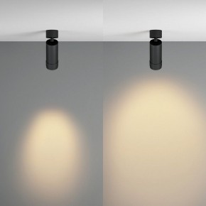 Светильник на штанге Maytoni Focus Zoom C055CL-L12W2.7K-Z-B в Южноуральске - yuzhnouralsk.ok-mebel.com | фото 3