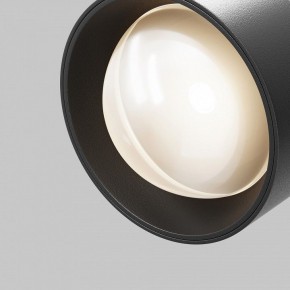 Светильник на штанге Maytoni Lens TR217-2-15W3K-B в Южноуральске - yuzhnouralsk.ok-mebel.com | фото 10