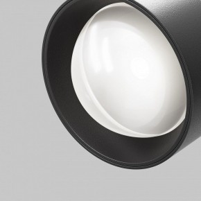 Светильник на штанге Maytoni Lens TR217-2-15W4K-B в Южноуральске - yuzhnouralsk.ok-mebel.com | фото 10