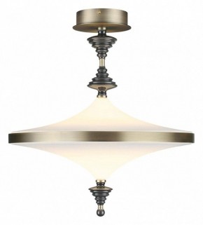 Светильник на штанге Odeon Light Ula 5404/43CL в Южноуральске - yuzhnouralsk.ok-mebel.com | фото 2