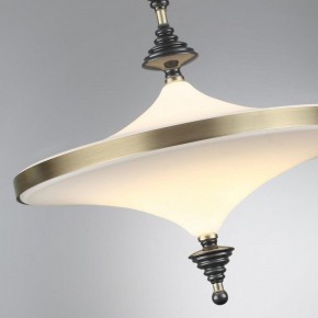 Светильник на штанге Odeon Light Ula 5404/43CL в Южноуральске - yuzhnouralsk.ok-mebel.com | фото 6