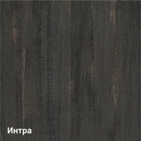 Трувор Шкаф 13.204 в Южноуральске - yuzhnouralsk.ok-mebel.com | фото 3