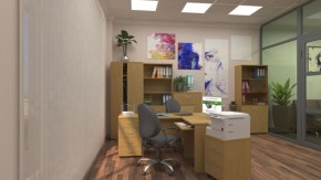 Тумба подкатная "Референт" с центральным замком (Р.Т-3+зЦ) в Южноуральске - yuzhnouralsk.ok-mebel.com | фото 6