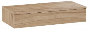 Тумбочка навесная ТД-102.08.02 в Южноуральске - yuzhnouralsk.ok-mebel.com | фото 3
