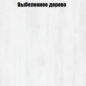 Вешалка V3 в Южноуральске - yuzhnouralsk.ok-mebel.com | фото 4